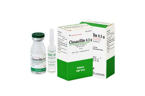 Cloxacillin là thuốc gì? Công dụng, liều dùng